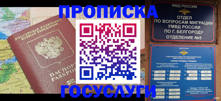 прописка регистрация в Фрязино